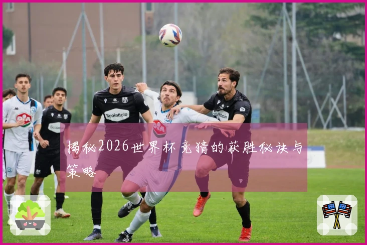 揭秘2026世界杯竞猜的获胜秘诀与策略