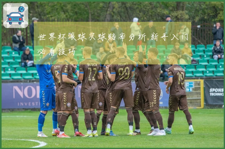 世界杯滚球买球赔率分析 新手入门必看技巧