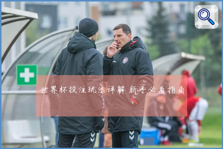 世界杯投注玩法详解 新手必看指南