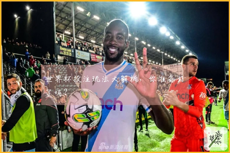 世界杯投注玩法大解析，你准备好了吗？