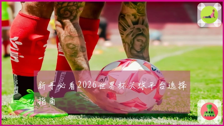 新手必看2026世界杯买球平台选择指南
