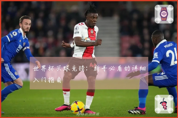 世界杯买球竞猜：新手必看的详细入门指南