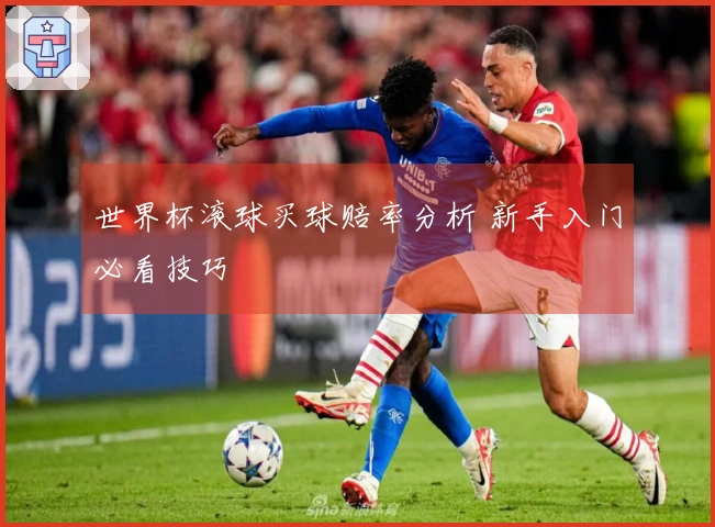 世界杯滚球买球赔率分析 新手入门必看技巧