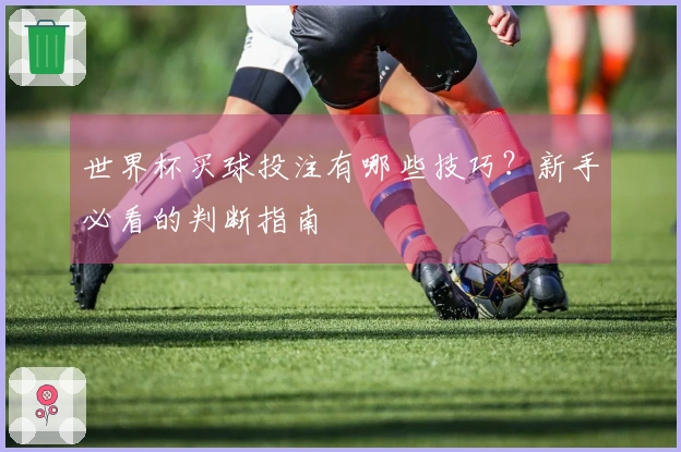 世界杯买球投注有哪些技巧？新手必看的判断指南