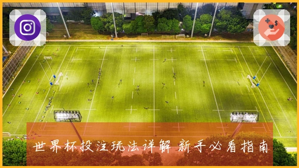 世界杯投注玩法详解 新手必看指南